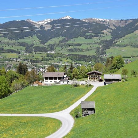 Loeschenbrandhof Daire Mittersill Dış mekan fotoğraf