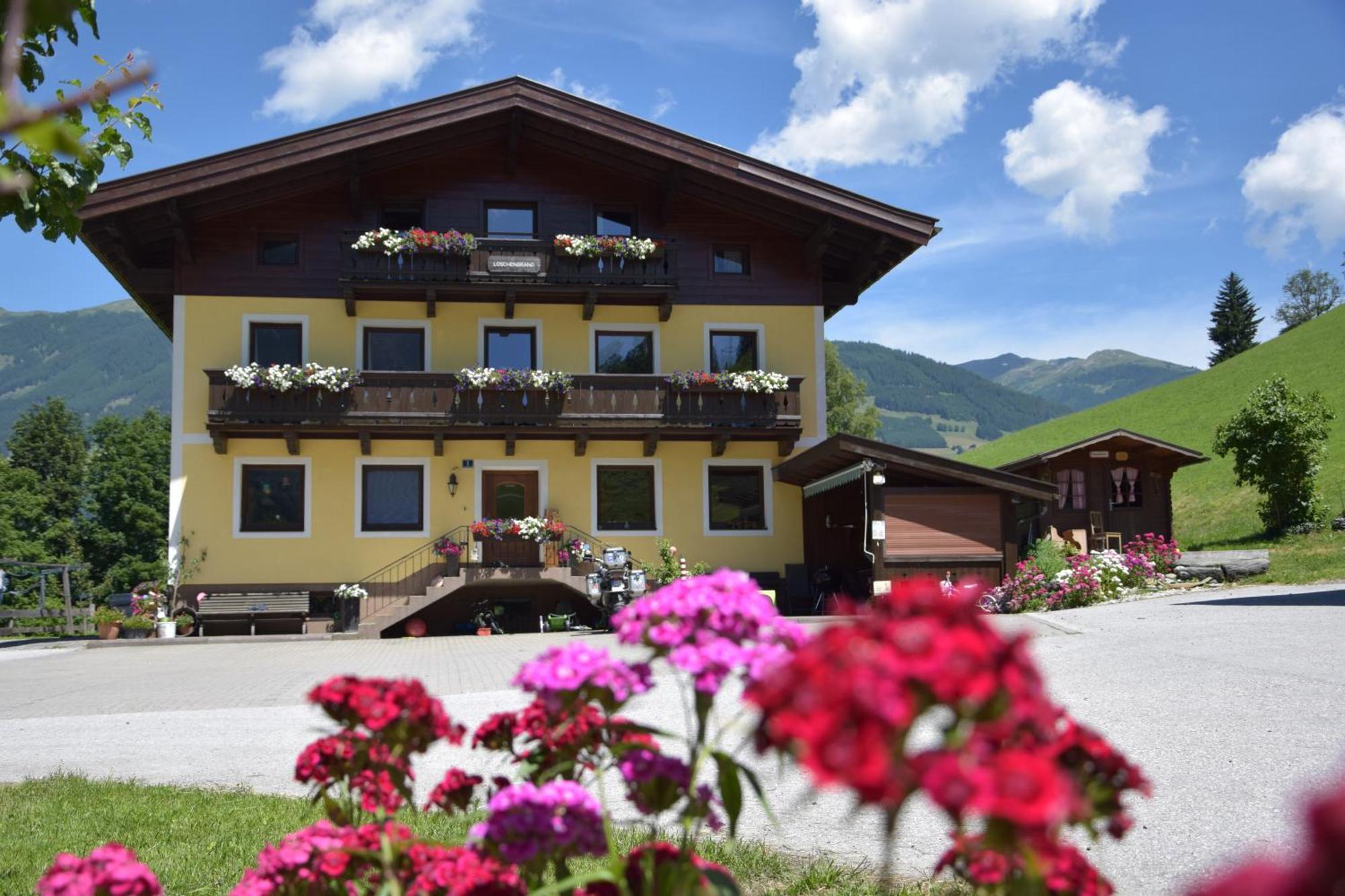 Loeschenbrandhof Daire Mittersill Dış mekan fotoğraf