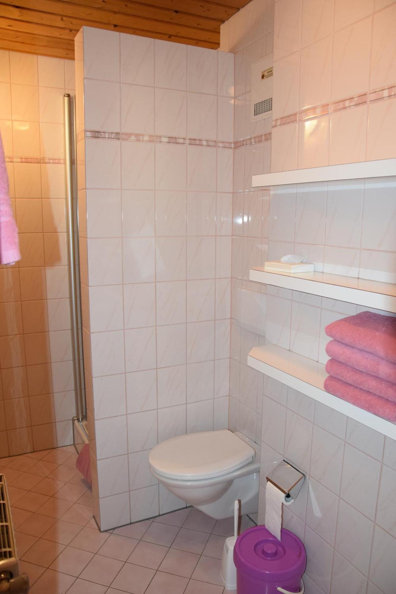 Loeschenbrandhof Daire Mittersill Dış mekan fotoğraf