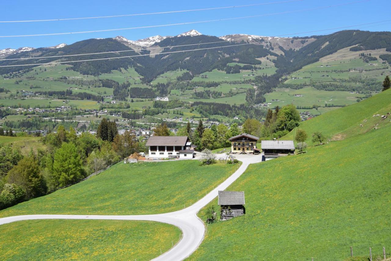 Loeschenbrandhof Daire Mittersill Dış mekan fotoğraf